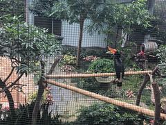 -九龙公园