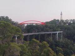 -金鸡山公园