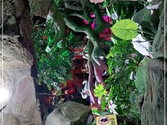 -多彩贵州城极地海洋世界