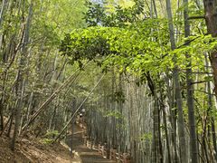 -敬亭山风景名胜区