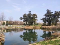 -两河城市森林公园