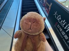 -宝山日月光中心