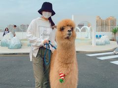 -Blue Concept Cafe&Farm·關於藍