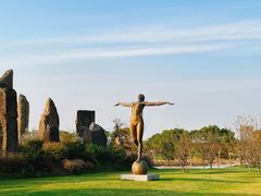 -海上花岛玫瑰园采摘