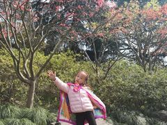 -月星环球港赢在起点早教中心·亲子托班早教体验课儿童兴趣班逻辑思维专注力幼小衔接(普陀中心)