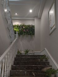 -MISSJANE简夫人美容定制中心