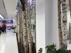 -极简口腔(总院)