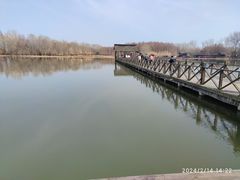 -溱湖国家湿地公园