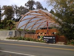 -怀托摩萤火虫洞