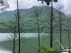 -广州市石门国家森林公园