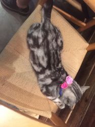 -和良形象