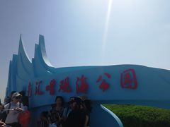 -南汇嘴观海公园