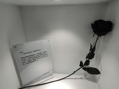 -深圳失恋博物馆再见前任(汇商名苑店)