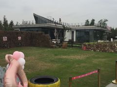 -田园东方蜜桃村的田野营地