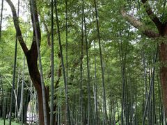 -上海市保健医疗中心