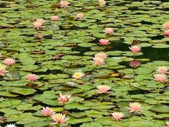 -白鹭湾湿地公园