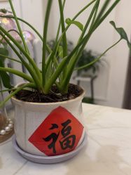 -香秀空间科技抗衰·美容中心