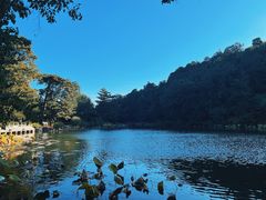 -香山公园