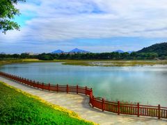 -风云岭森林公园