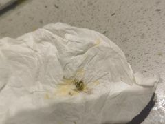 -海底捞火锅(海宁路店)