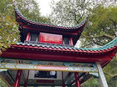 -柠季·手打柠檬茶(岳麓山登高路店)