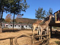 -大连森林动物园