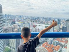 -新加坡瑞士史丹福酒店