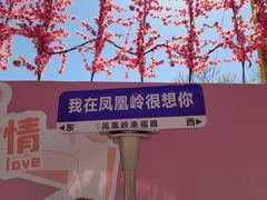 -北京凤凰岭