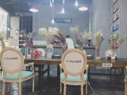 -J-Flying艺术形象设计