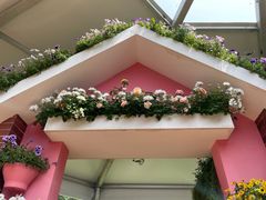 -深圳仙湖植物园