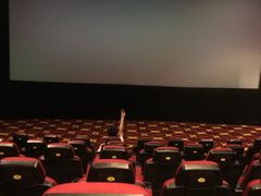 -AMG海上明珠影城(上海环球港RealDCinema店)