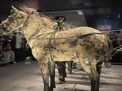 -秦始皇帝陵博物院-丽山园