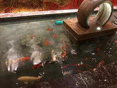 -北京金龙潭御瑞酒店(花园桥地铁站店)