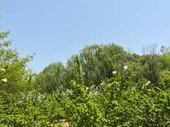 -苏州太湖国家湿地公园