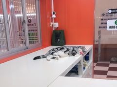 -福田卓悦INTOWN购物中心