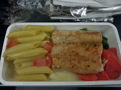 -新加坡航空公司(ION)