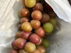 -美家乐农庄·露营·团建(大治路店)