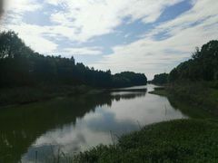 -上海海湾国家森林公园