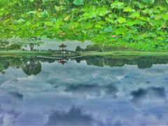 -洪湖生态旅游区