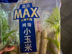 -盒马X会员店(王府井奥莱UP TOWN店)