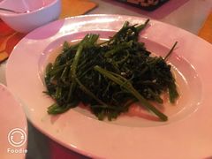 -Lanterns Vietnamese Restaurant