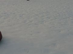 -十三陵雪世界滑雪场