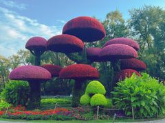 -沈阳植物园