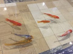 -临街徽菜馆·正宗黄山味