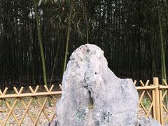 -杭州植物园