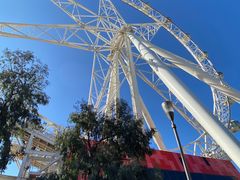 -墨尔本之星 观景摩天轮