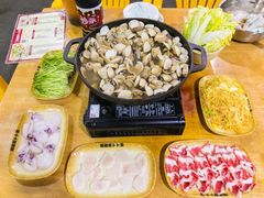 -顺德哥卜卜贝(旗舰店)