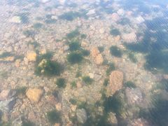 -青岛第三海水浴场