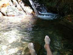 -羚羊峡古栈道森林公园