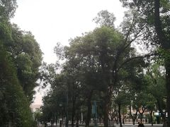 -岳麓山风景名胜区